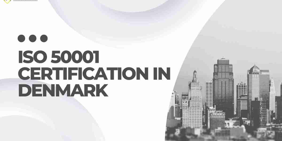 What training and resources are available in Denmark for companies seeking ISO 50001 certification?