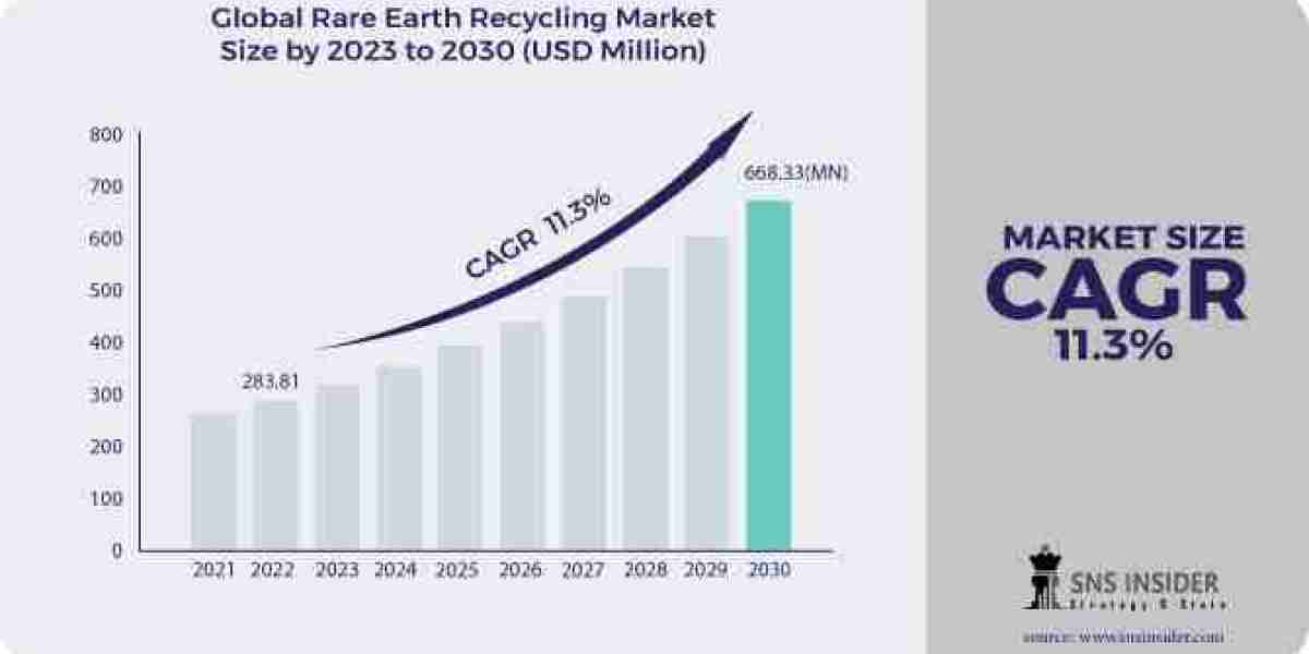 Rare Earth Recycling Market Segmentation, Applications, & Key Players Analysis Report 2024-2031