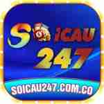 Soi Cầu 247