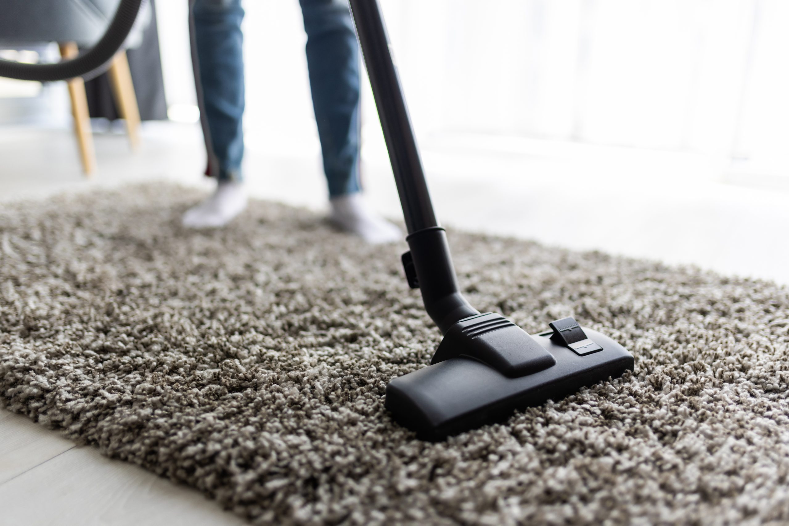 Elevating Your Space: The Power of Professional Carpet Cleaner  - Daily Business Post