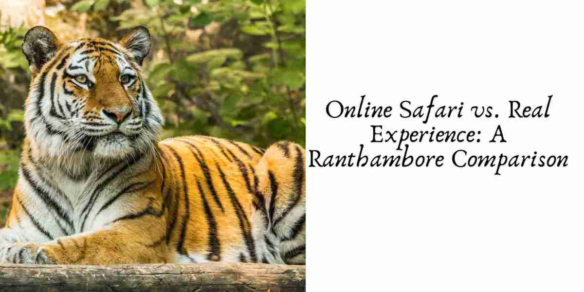 Online Safari vs. Real Experience: A Ranthambore Comparison