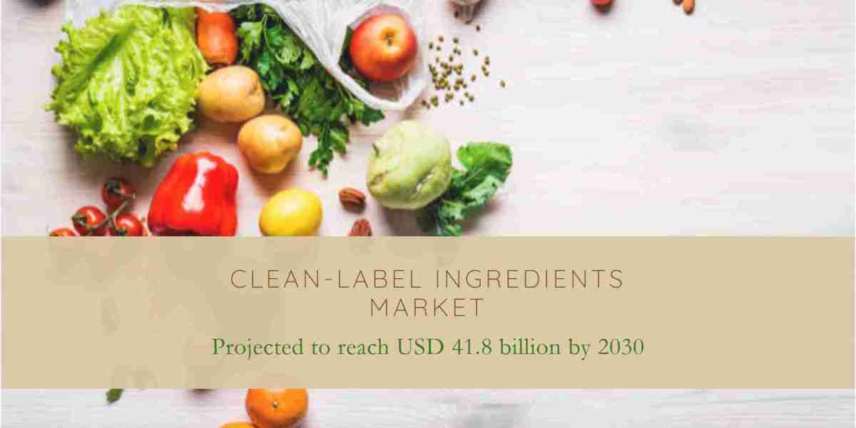 North America Clean-Label Ingredients Market: Investment, Key Drivers, Gross Margin, and Forecast 2030