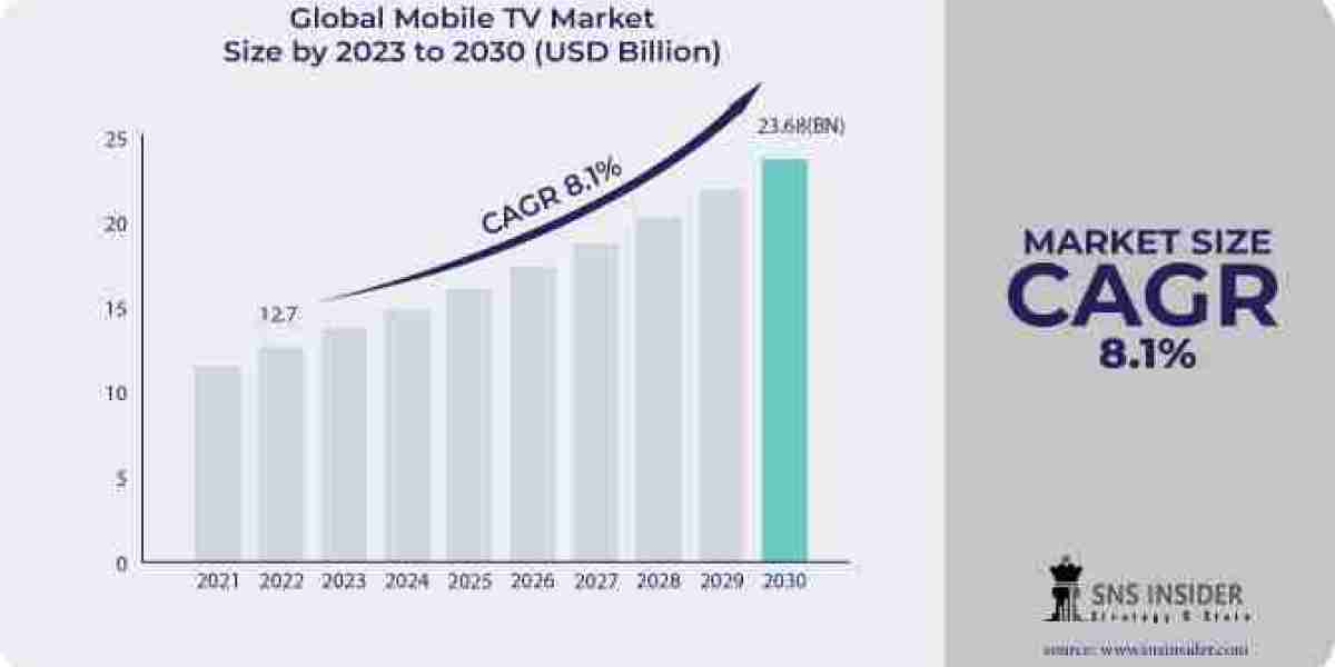 Mobile TV Market Forecast: Market Segmentation, Audience Targeting, and Content Customization Strategies