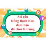 Rồng bạch kim Soi cầu 247