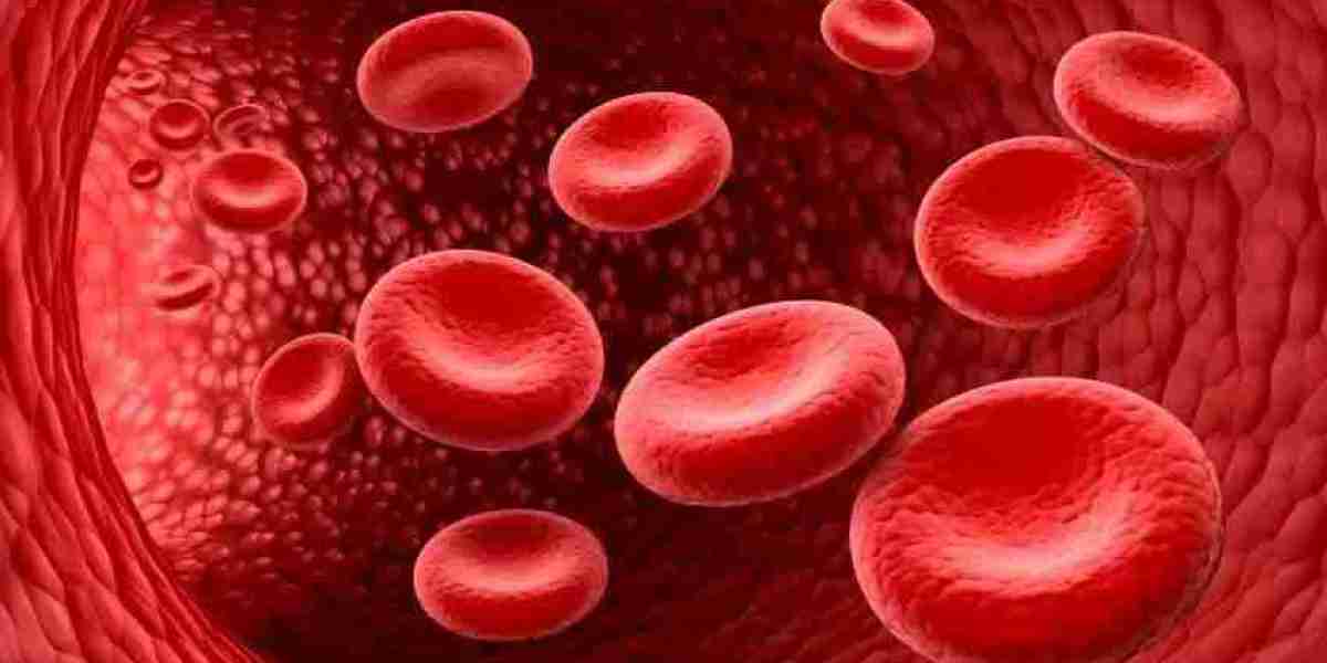 Blood Cancer: Types, Symptoms, Causes, and Treatment