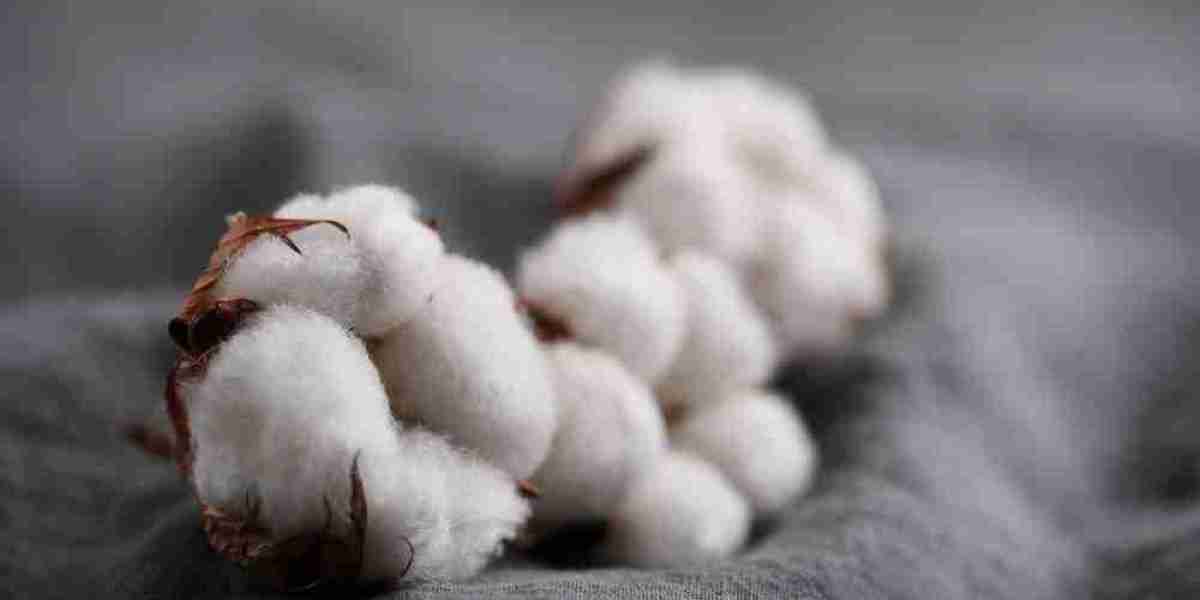 Live Cotton Price Analysis: Mastering MCX with Advanced Tools