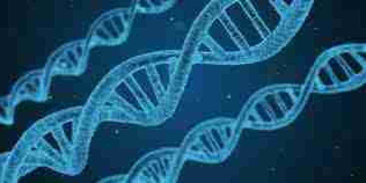 Nucleotide Market To Witness Huge Growth By 2032
