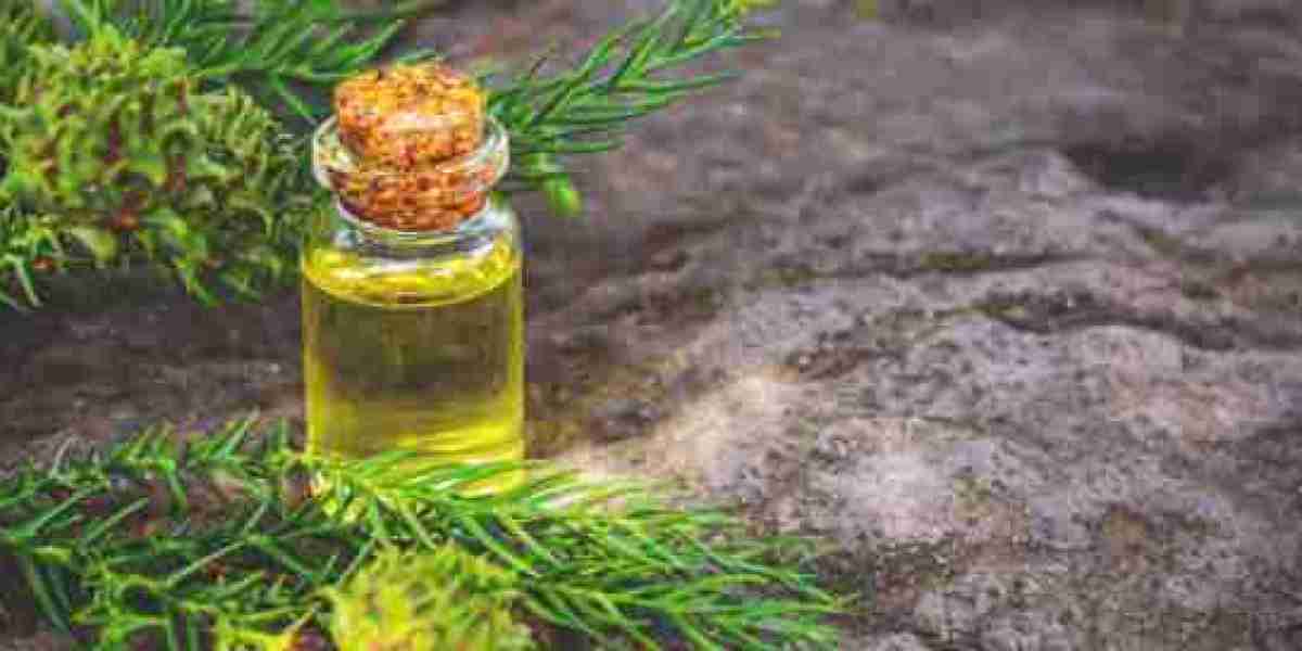 US Agarwood Essential Oil Industry Size, Share Growth Trends Analysis by 2032