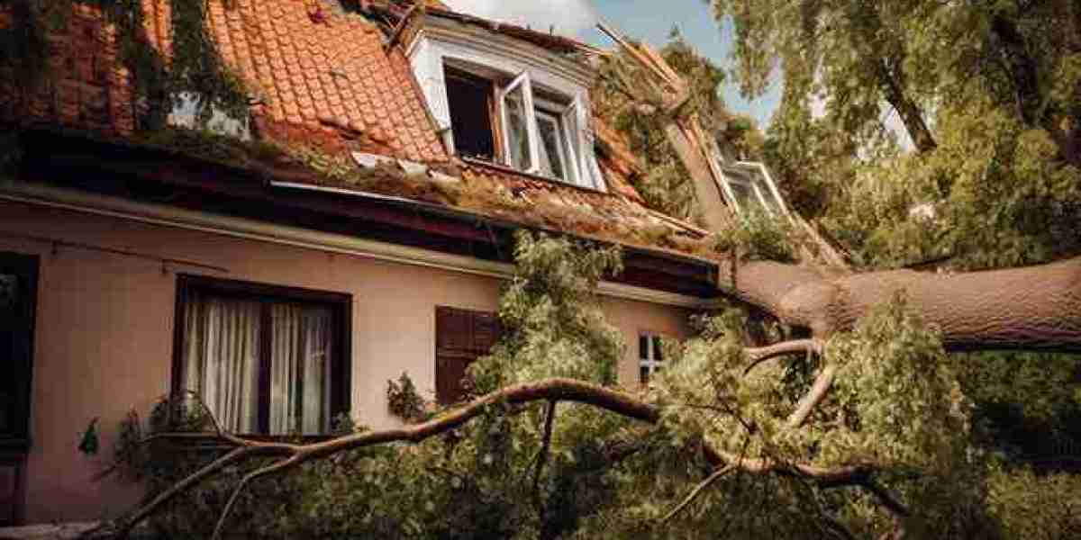 Understanding Arizona Public Adjusters and Property Damage Settlements