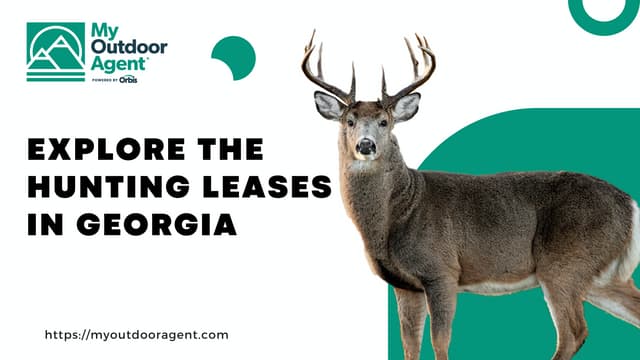 Explore The Hunting Leases In Georgia USA | PPT