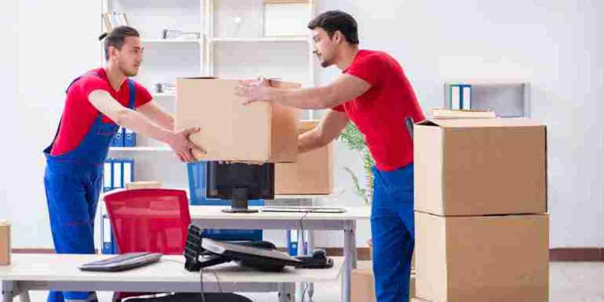 How to Successfully Organize an Office Move in Toronto: A Complete Guide