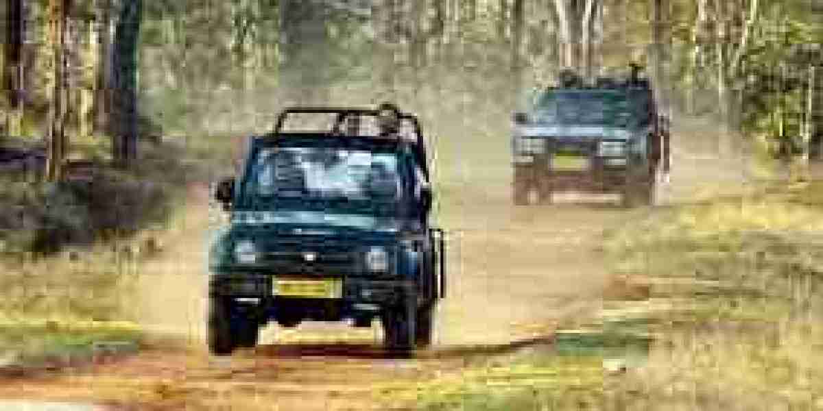 Pench national park best time to visit