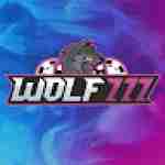 Wolf777 cricket