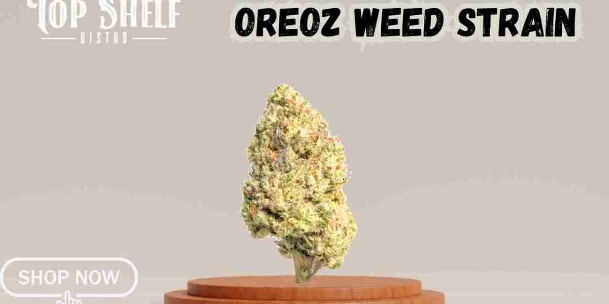 Experience the Premium Quality of Oreoz Weed Strain from Top Shelf Distro