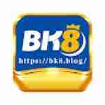 Bk8 Blog