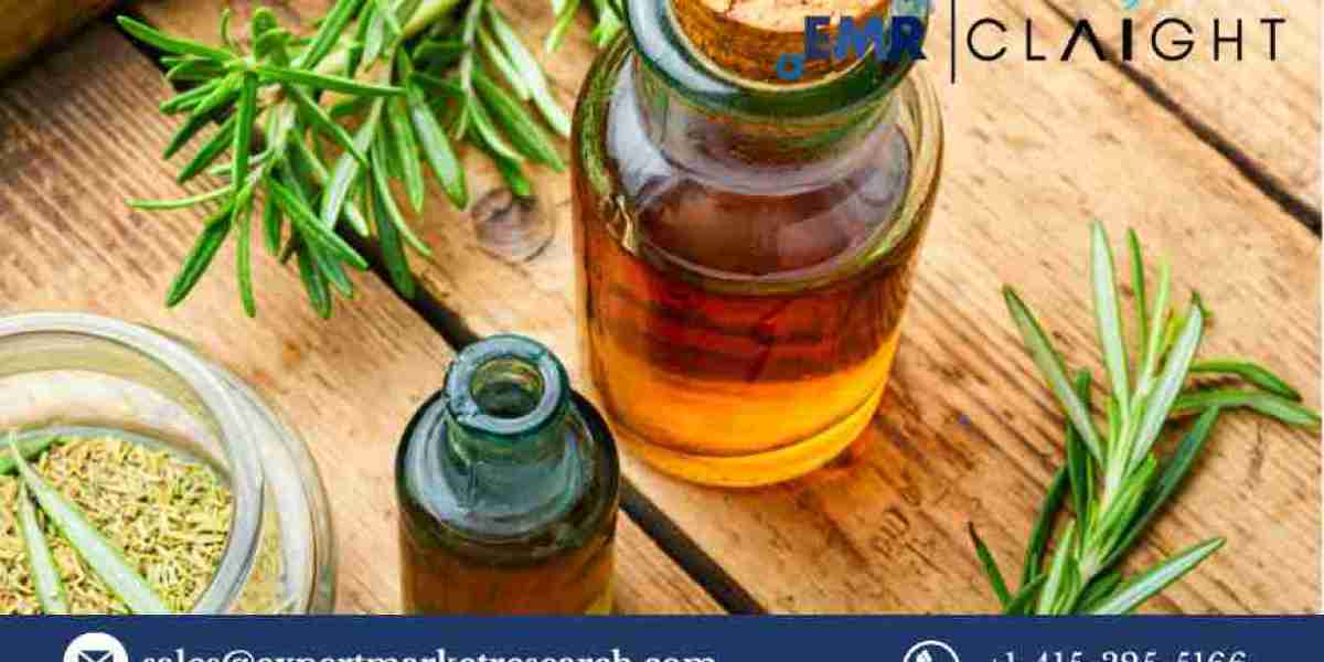 Quillaia Extracts Market: A Comprehensive Overview