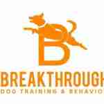 Break Through Dog Training Behavior