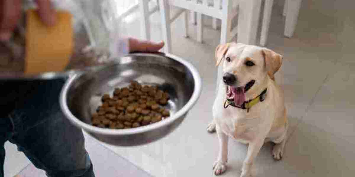 Nutritious Dog Food Options in Dubai: What's Best for Your Pup?