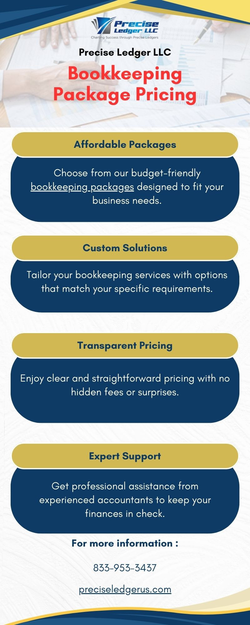 Affordable Bookkeeping Package Pricing at Precise Ledger LLC - Gifyu