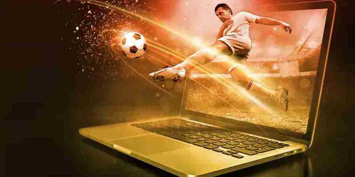 Comprehensive Guide to Reliable Football Tip Websites