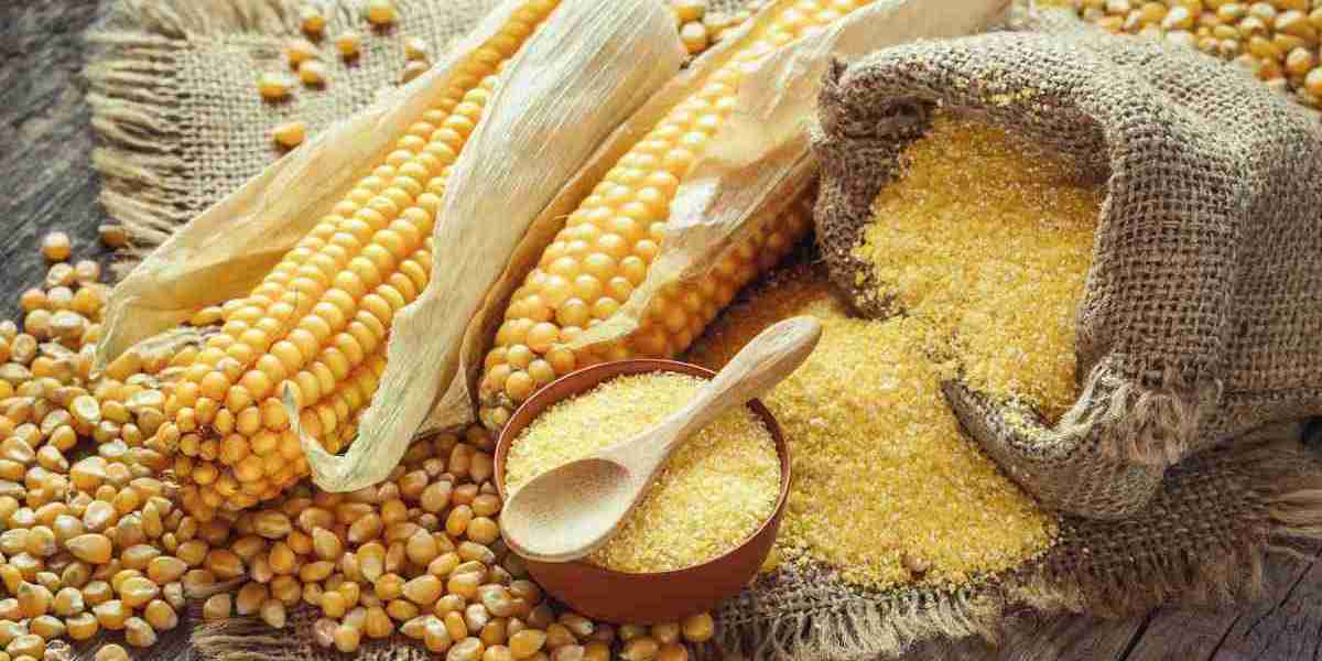Maize Processing Plant Project Report 2024: Raw Materials Requirement, Setup Cost and Revenue