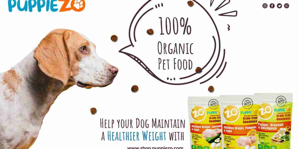 Nourishing Your Dog from the Inside Out: The Importance of Fresh Dog Food