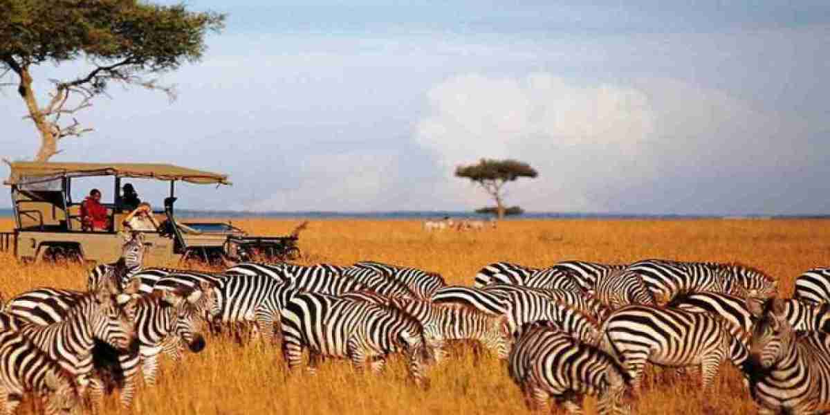 Unforgettable Kenya Holidays for Indian Travelers
