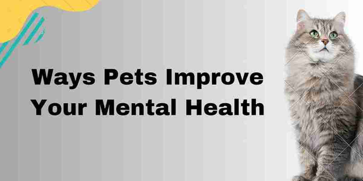 Ways Pets Improve Your Mental Health