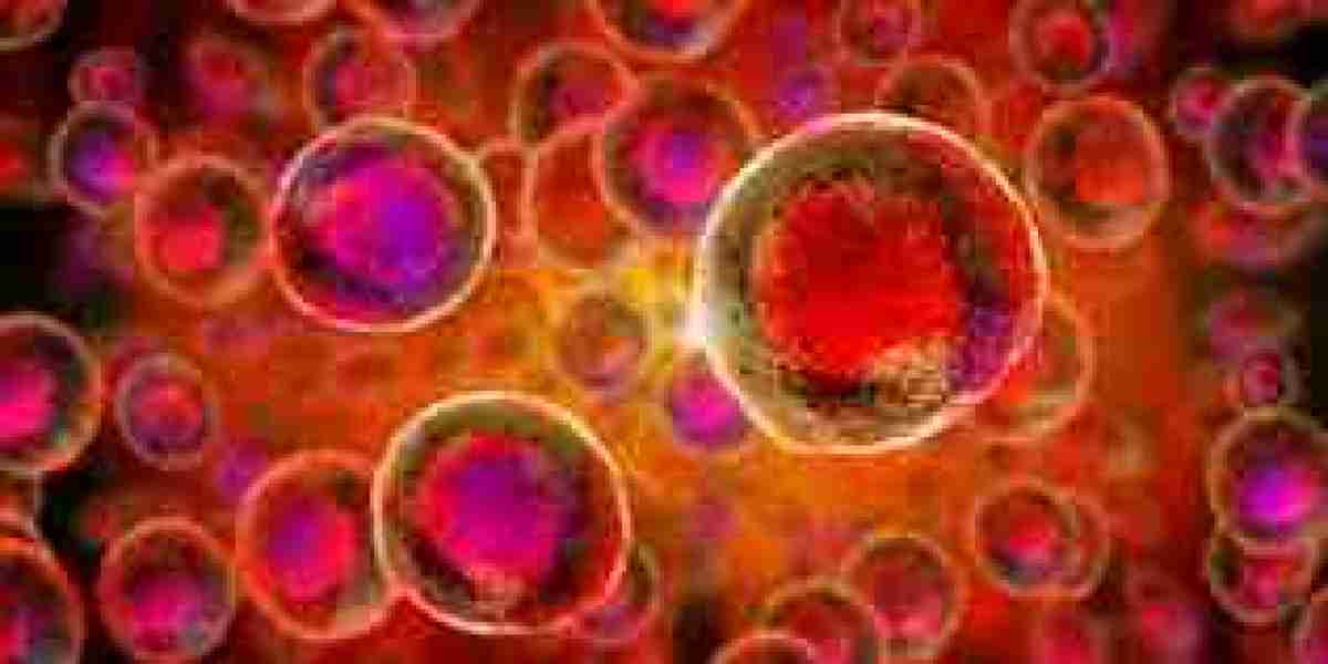 Cell Expansion Market: Comprehensive study explores Huge Growth in Future