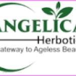 Angelica Herbotics