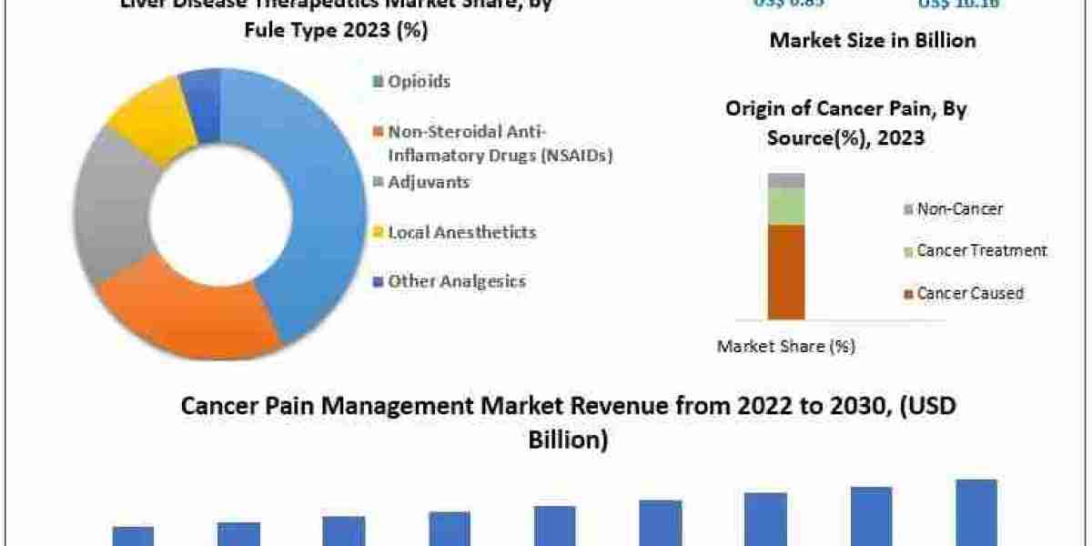 Cancer Pain Market: Regional Insights and Market Dynamics (2024-2030)