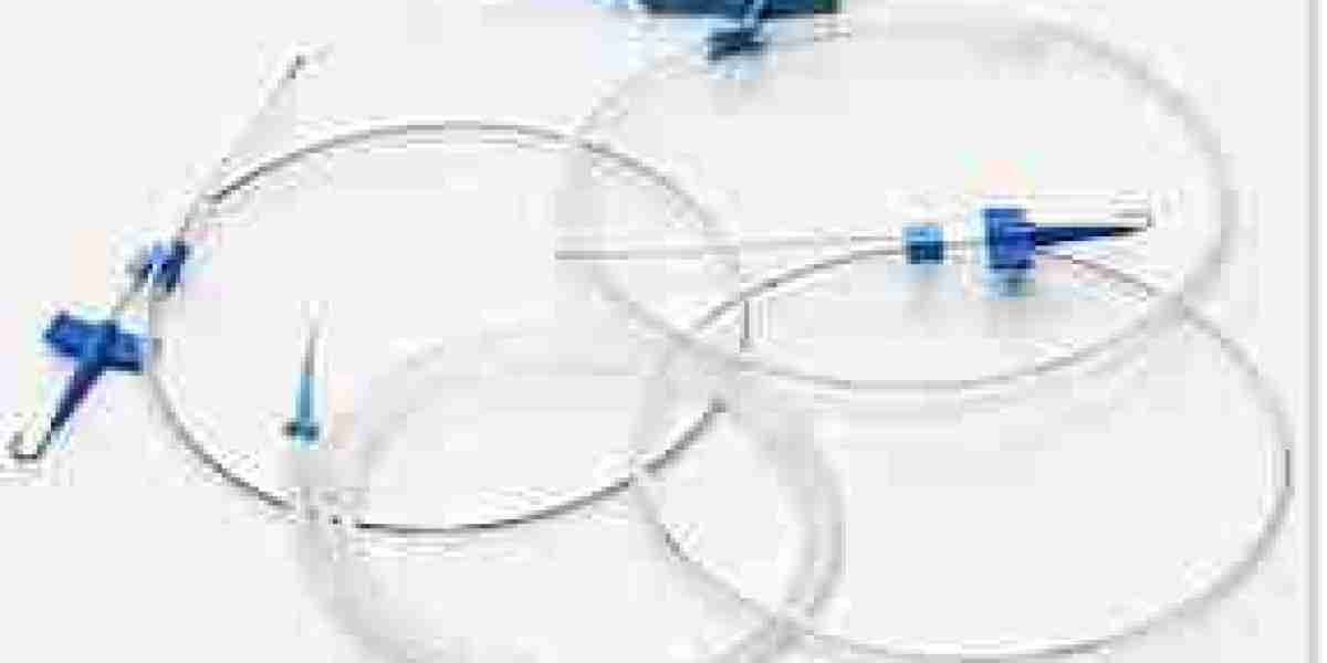 Guidewires Market Booming Worldwide with Latest Trends and Future Scope by 2032