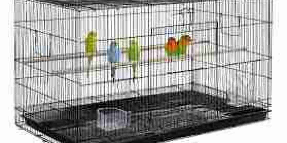 Bird Cages Market are made an overview to the Future Opportunities over the Globe