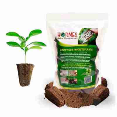 Boost Plant Growth with Hormex Rooting Cubes - Shop Now! Profile Picture