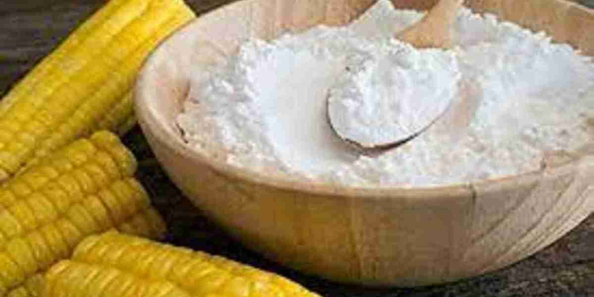 Corn Starch Market to Raise Income Levels to USD 17.3 billion By 2032