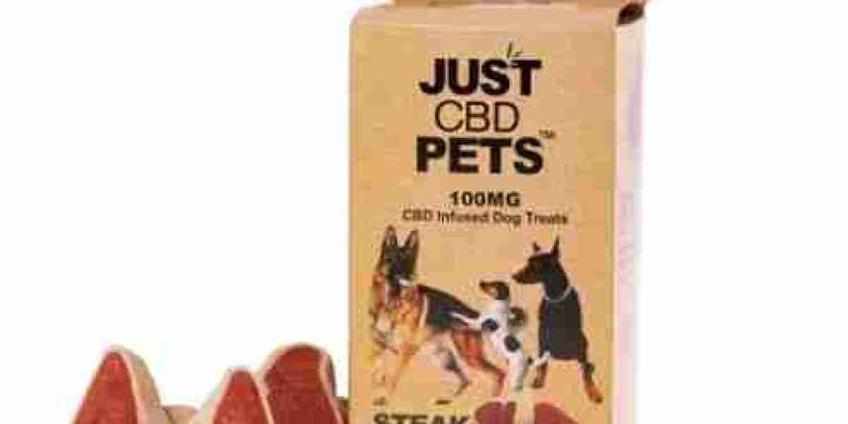 Enhancing Pet Wellness: The Rise of CBD Pet Treats and Products