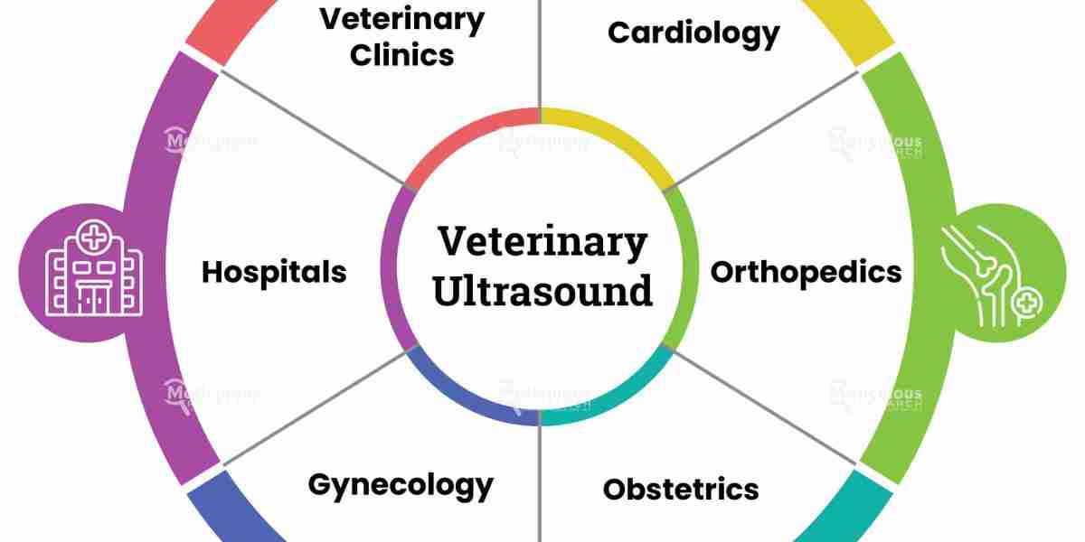 Veterinary Ultrasound Market Expected to Reach $520.11 Million by 2030