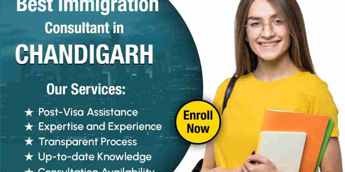 Complete Guide to the Best Visa Experts in Chandigarh