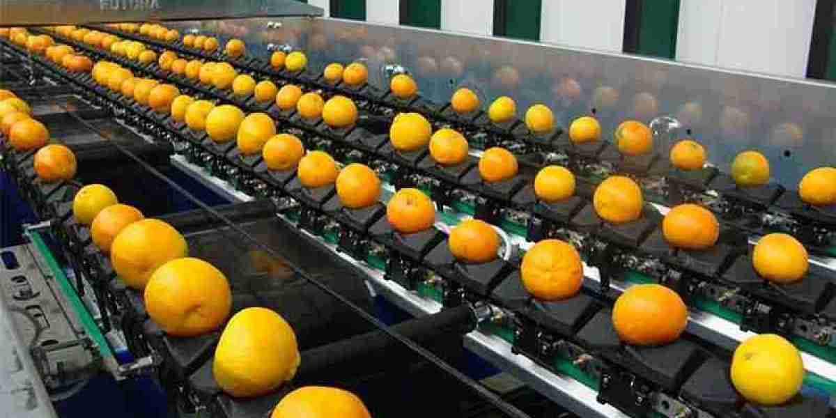 Fruit Grading Machines: Ensuring Freshness and Quality Control