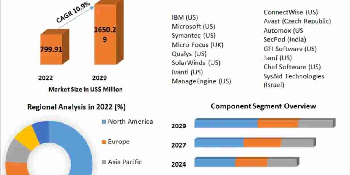 Patch Management Market – Size, Share, Growth, Trends, Applications, and Industry Strategies in 2029