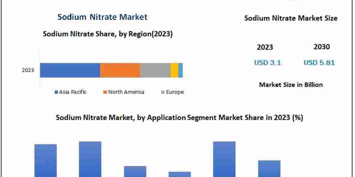 Sodium Nitrate Market Dynamics and Forecast: Key Growth Drivers and Market Trends (2024-2030)