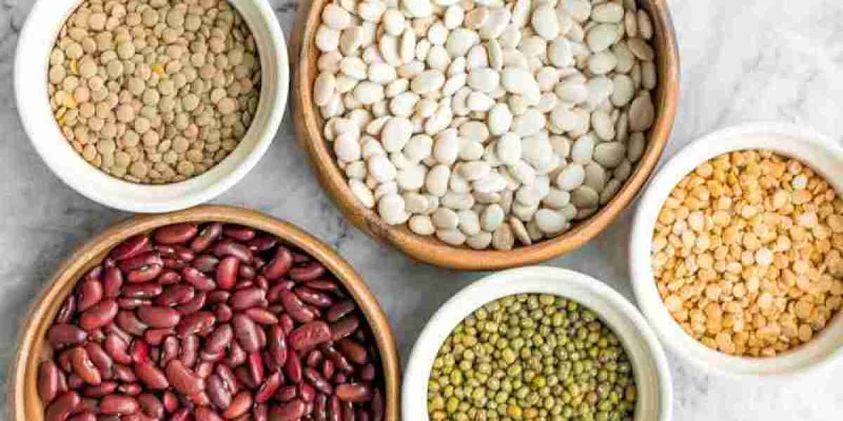 Dry Beans Market Size, Share and Forecast, Report 2024-2032