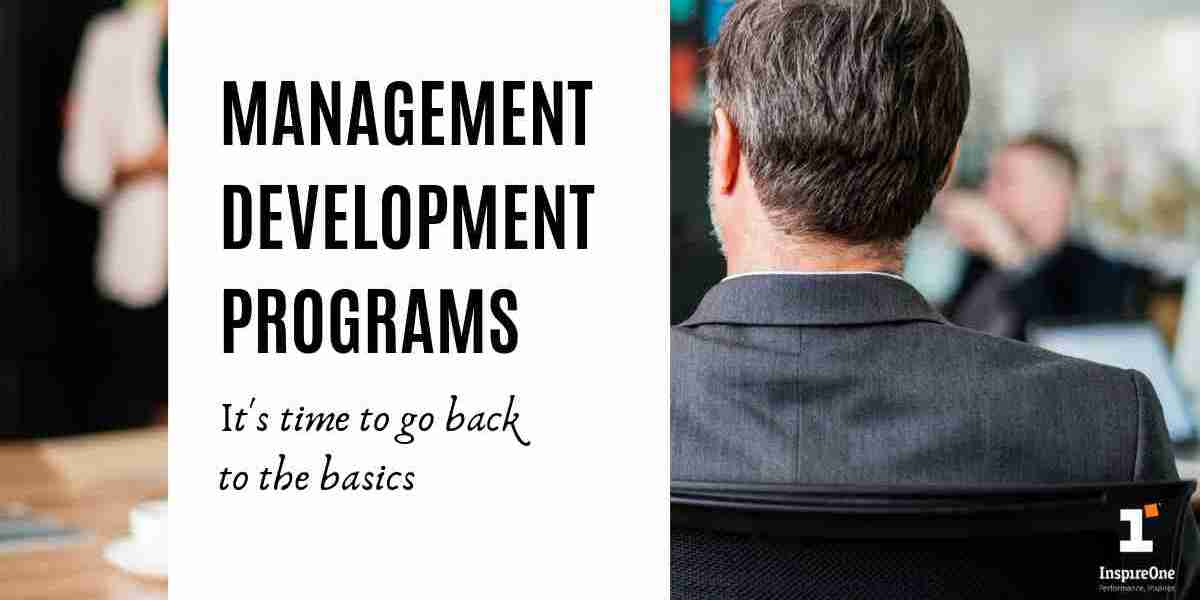How Do Management Training Programs Drive Business Growth and Efficiency?