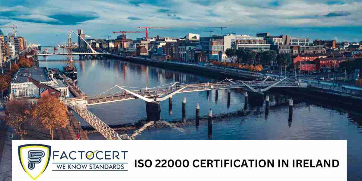 What steps are involved in ISO 22000 certification in Ireland?