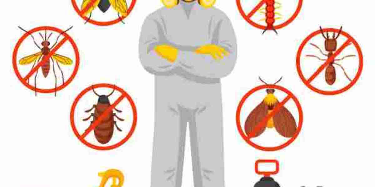 A comprehensive guide on 10 prevalent household pests and effective preventive measures.