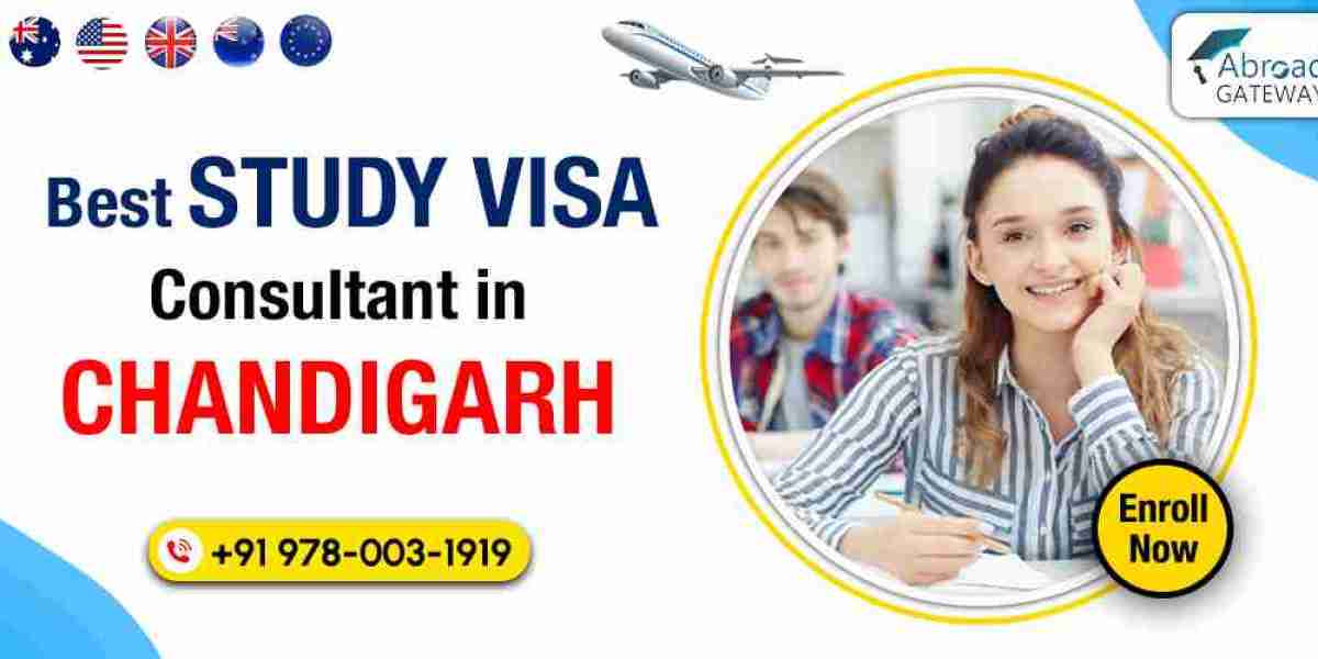 Step-by-Step Guide to Visa Consulting in Chandigarh