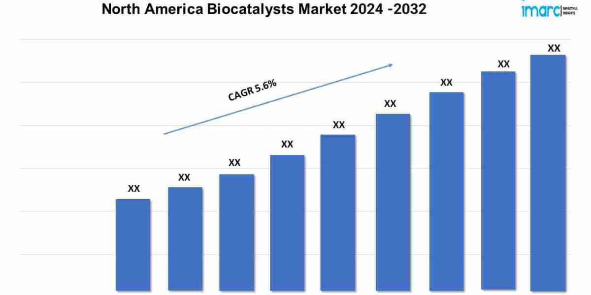 North America Biocatalysts Market Overview, Industry Growth Rate, Research Report 2024-2032