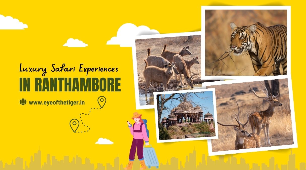 Luxury Safari Experiences in Ranthambore | Eye Of The Tiger