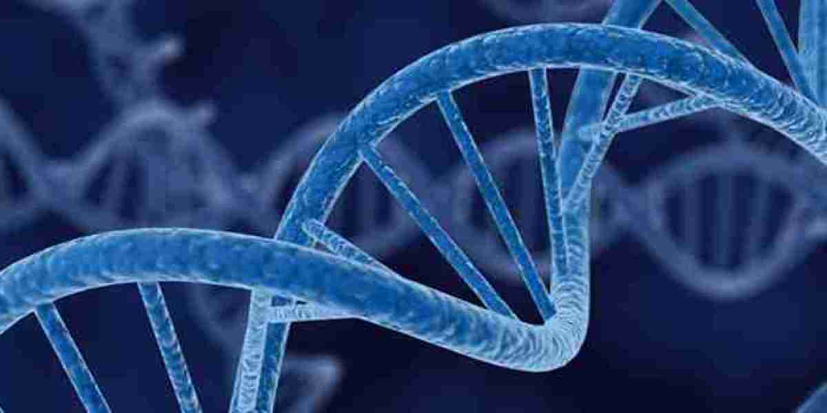 Polymerase Chain Reaction Market: Comprehensive study explores Huge Growth in Future