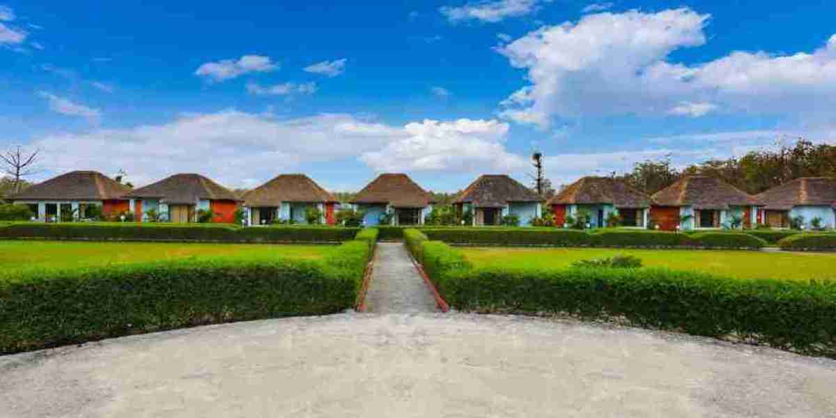 Discover the Best Hotels in Jim Corbett for a Memorable Stay